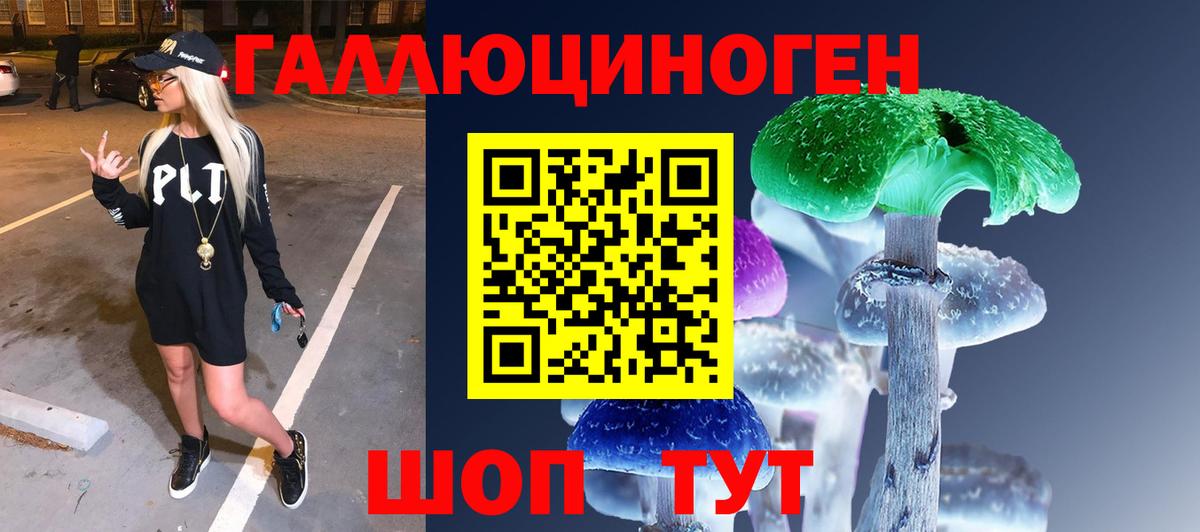 где купить   Вход с VPN  Сегежа  Псилоцибиновые грибы Psilocybe  Галлюциногенные грибы прущие грибы 